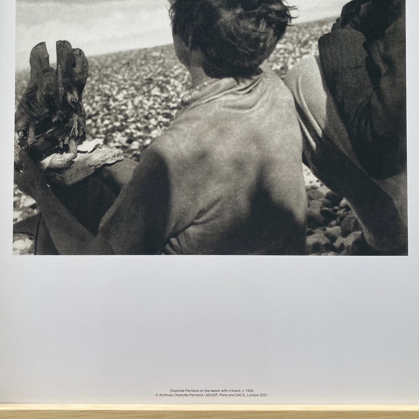 1F3CB1AB-C6AC-4CC9-A62A-1695CB08076A