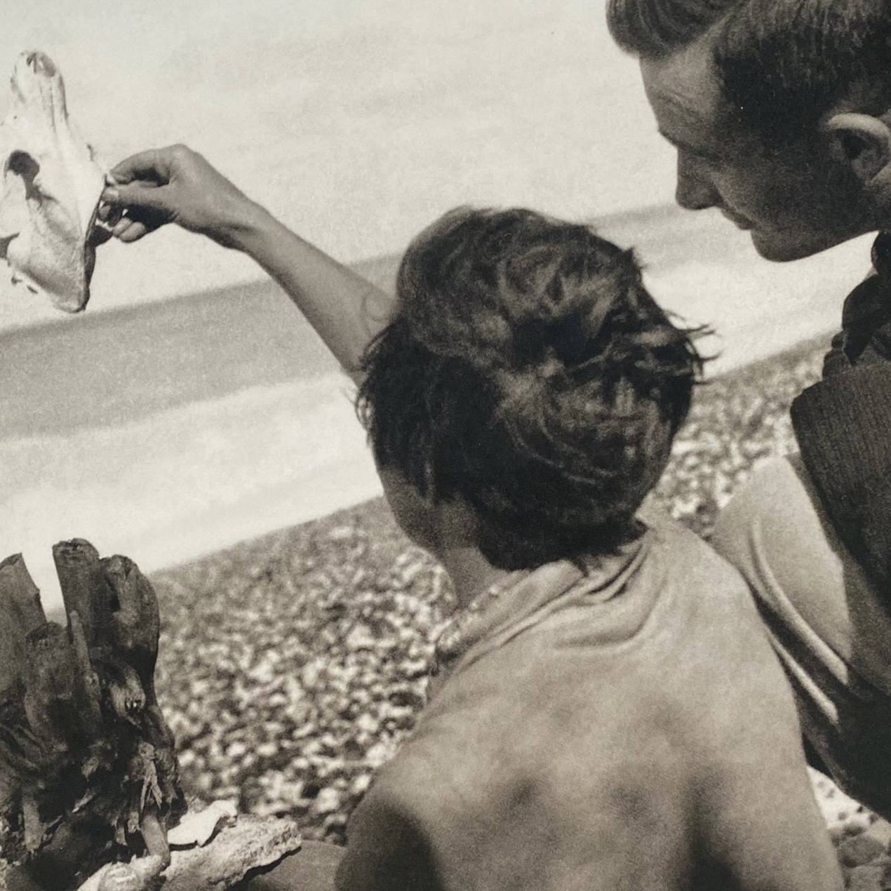 3094FDDB-9593-404F-893A-0AF3B828AC2C