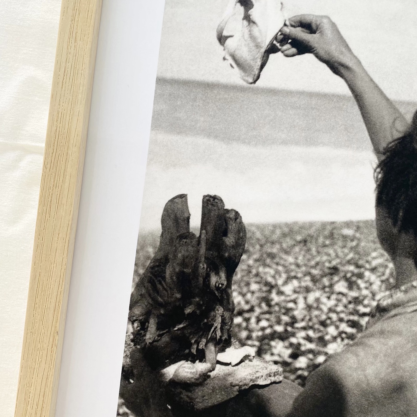 42B0025D-B186-4F5C-8666-481C8279405E